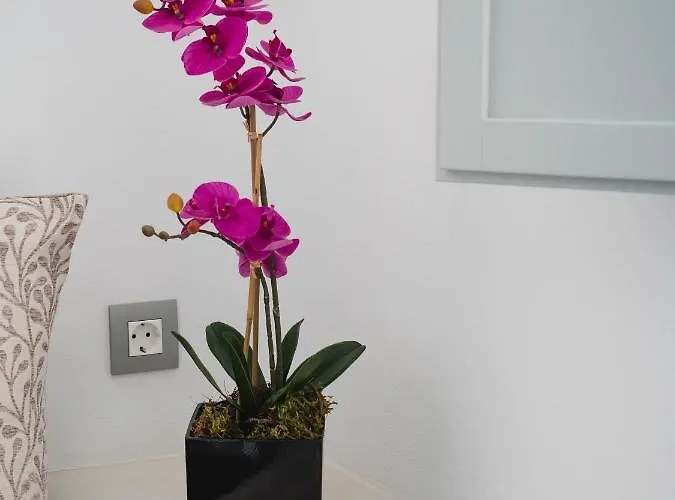 Vitsentzos * Imerovigli (Santorini)