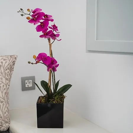 Vitsentzos * Imerovigli (Santorini)